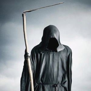 Meet your Posher, Terrell